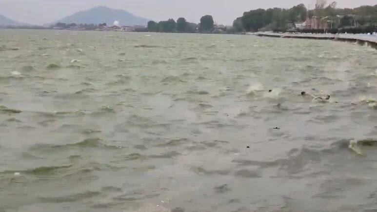 National-Dal Lake Accident: श्रीनगर के डल झील में बड़ा हादसा, तेज हवाएं चलने से अचानक पलटी पर्यटकों की नाव, शख्स लापता – #INA National-Dal Lake Accident: श्रीनगर के डल झील में बड़ा हादसा, तेज हवाएं चलने से अचानक पलटी पर्यटकों की नाव, शख्स लापता – #INA