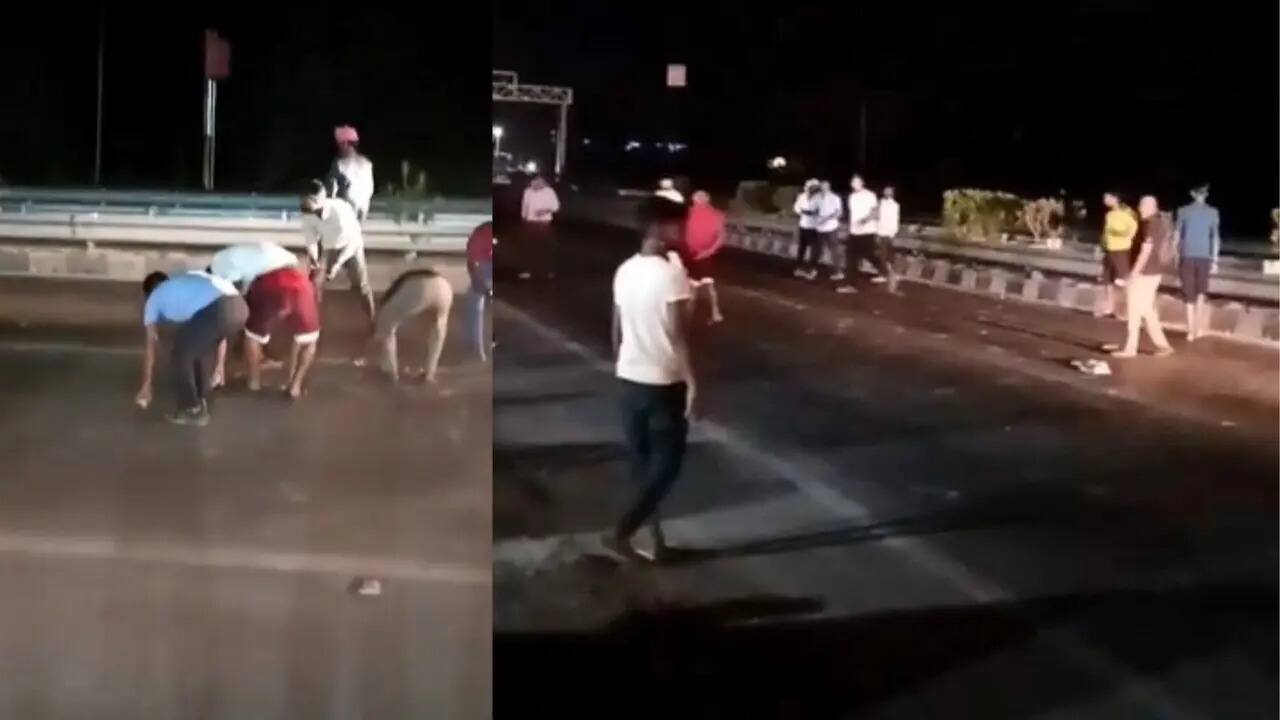 National-यूपी के कौशांबी में सड़क पर हुई नोटों की बारिश, जिसने देखा वो लूटने भागा…जानें आखिर क्या है मामला – #INA National-यूपी के कौशांबी में सड़क पर हुई नोटों की बारिश, जिसने देखा वो लूटने भागा…जानें आखिर क्या है मामला – #INA