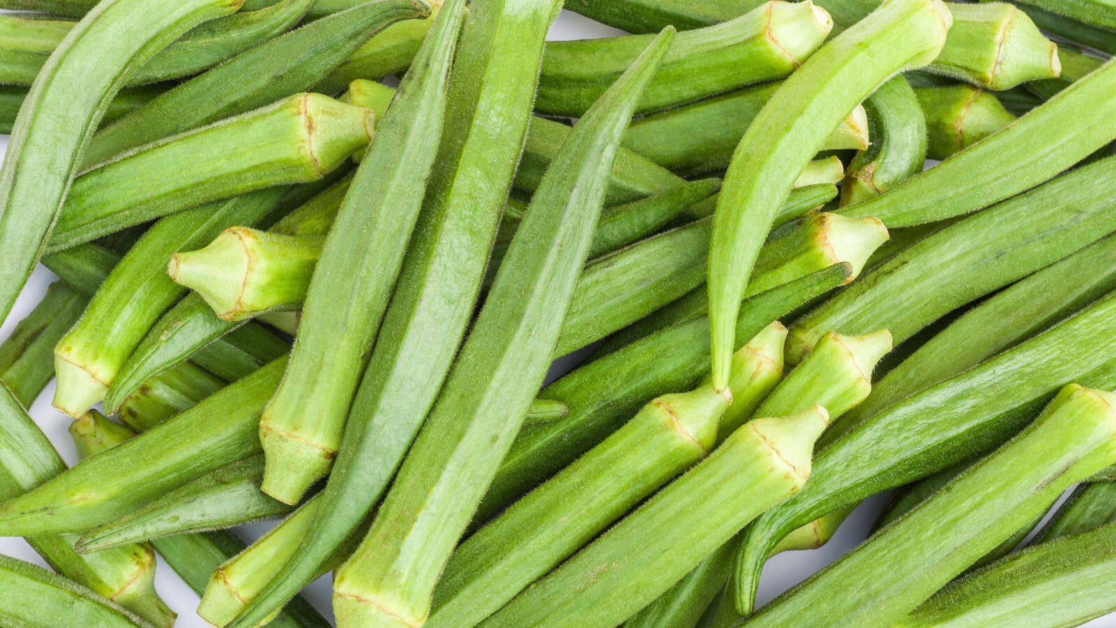 National-Ladyfinger: भिंडी बन सकती है सेहत का दुश्मन, इन 5 सब्जियों के साथ भूलकर भी न करें सेवन – #INA National-Ladyfinger: भिंडी बन सकती है सेहत का दुश्मन, इन 5 सब्जियों के साथ भूलकर भी न करें सेवन – #INA