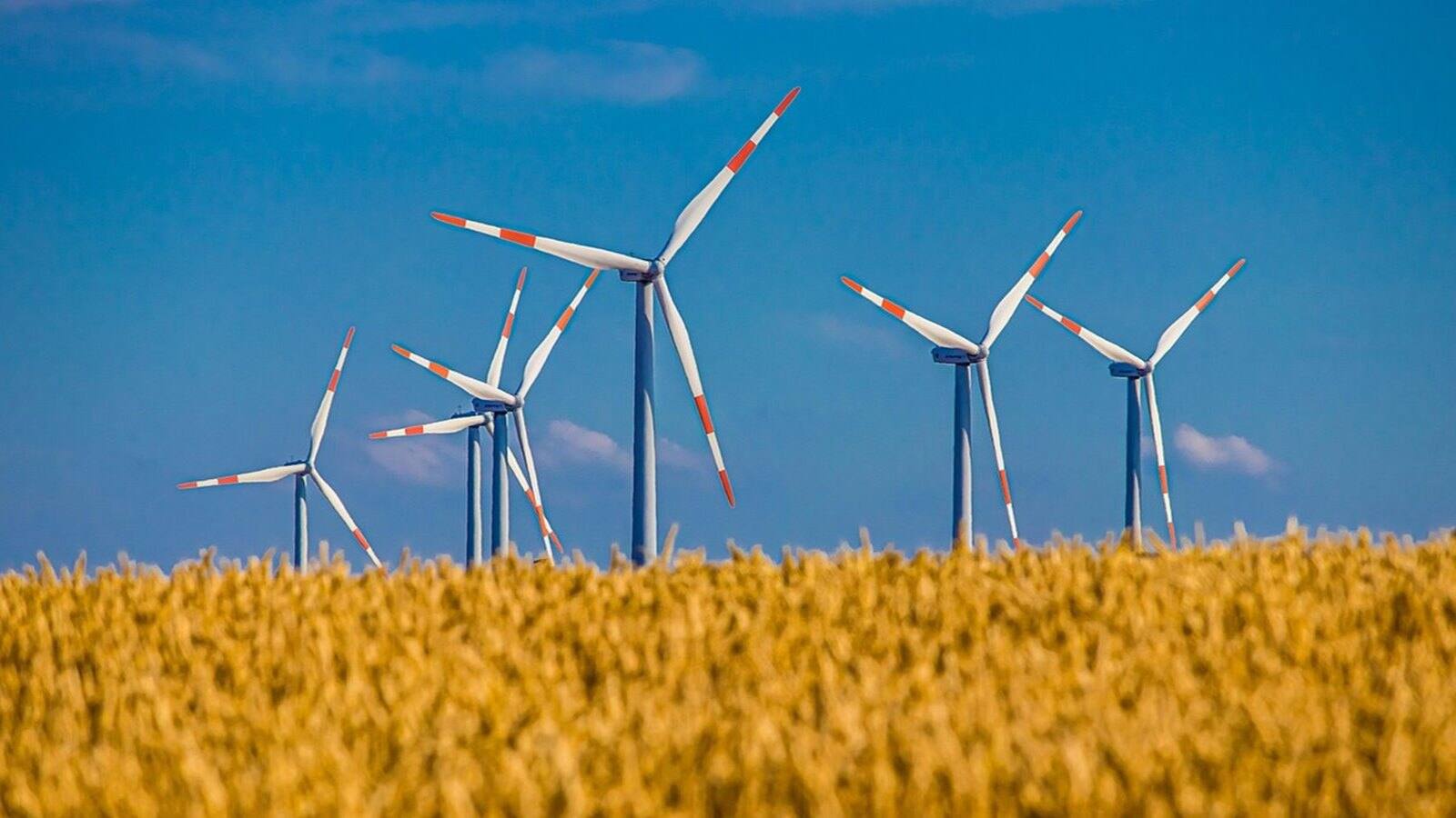 खबर बाजार -Suzlon Energy ने 2 साल में दिया 450% रिटर्न, अब प्रमोटर बेचने वाले हैं 20 करोड़ शेयर; एनालिस्ट्स को स्टॉक से क्या उम्मीद – #INA खबर बाजार -Suzlon Energy ने 2 साल में दिया 450% रिटर्न, अब प्रमोटर बेचने वाले हैं 20 करोड़ शेयर; एनालिस्ट्स को स्टॉक से क्या उम्मीद – #INA