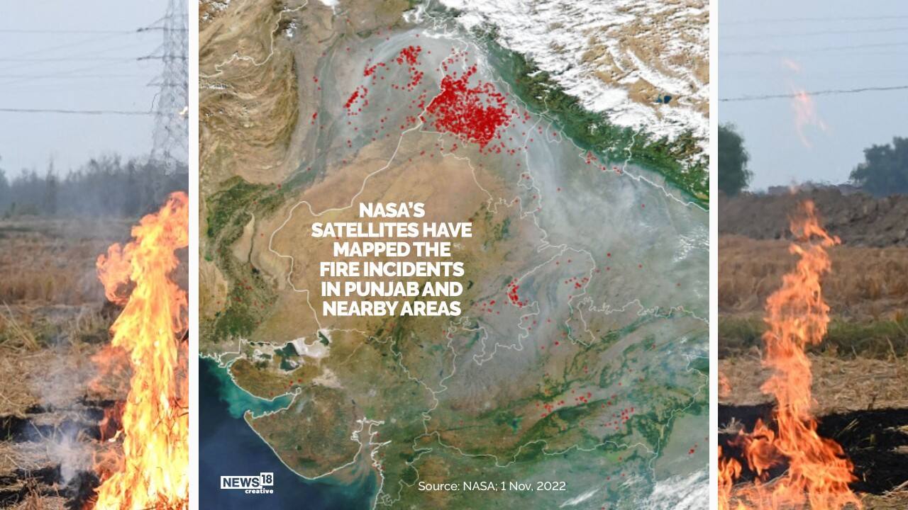 Delhi Air Pollution A Look At How Stubble Burning Affects Air Quality