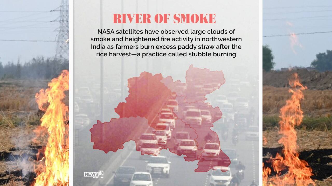 Delhi Air Pollution A Look At How Stubble Burning Affects Air Quality