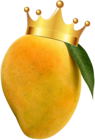 Mango: King of the fruits