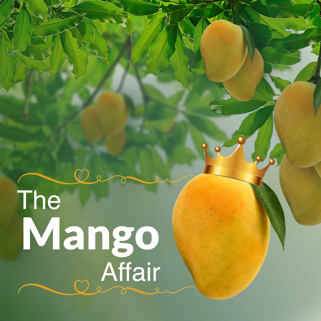 Mango Origin | Mango Benefits | Mango Production in India | India Mango ...