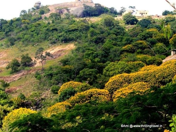 Ooty of Andhra Pradesh: Horsley Hills