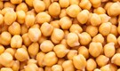 Chickpea production in India dropped from 9.53 MMT in 2013-14 to