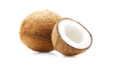 As per Coconut Development Board, Export of coconut products