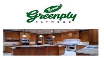 Saloni T. - Deputy Manager Marketing at Greenply Plywood | The Org