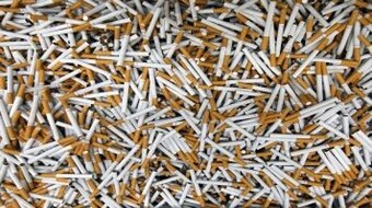 fake cigarettes hollywood Honeyrose Herbal Cigarettes, Cigars & Loose