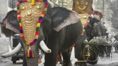 5 Things that resonate Kerala