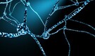 What India thinks about neurological diseases