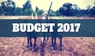 Budget 2017 to drive growth in rural India: Monsanto India Budget 2017 to drive growth in rural India: Monsanto India
