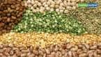 Agri Picks Report April 23, 2024: Geojit Financial Services