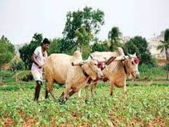 PM Kisan Samman Nidhi: किसानों को एक ही बार में मिल सकते हैं दो किस्तों के 4,000 रुपये जानिए कैसे PM Kisan Samman Nidhi: किसानों को एक ही बार में मिल सकते हैं दो किस्तों के 4,000 रुपये जानिए कैसे