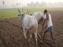 PM Kisan Samman Nidhi: 30 जून से पहले रजिस्ट्रेशन कराने पर 4,000 रुपये पाने का है शानदार मौका, जानिए कैसे PM Kisan Samman Nidhi: 30 जून से पहले रजिस्ट्रेशन कराने पर 4,000 रुपये पाने का है शानदार मौका, जानिए कैसे