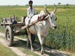 PM kisan Samman Nidhi: अगर आठवीं किस्त के 2,000 रुपये नहीं मिले तो जानिए क्या हो सकती है वजह PM kisan Samman Nidhi: अगर आठवीं किस्त के 2,000 रुपये नहीं मिले तो जानिए क्या हो सकती है वजह