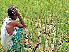 बजट 2021: किसान के लिए सिर्फ कागज़ी घोषणाएं नहीं, फौरी मदद देने की जरूरत बजट 2021: किसान के लिए सिर्फ कागज़ी घोषणाएं नहीं, फौरी मदद देने की जरूरत