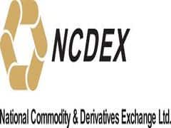 Commodity call: NCDEX AGRIDEX के 1 साल पूरे,जानिए इस पर कैसे मिलता है कम रिस्क के साथ कमाई का मौका