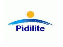 पिडिलाइटः मुनाफा 6.1% बढ़ा, आय 8.6% बढ़ी पिडिलाइटः मुनाफा 6.1% बढ़ा, आय 8.6% बढ़ी