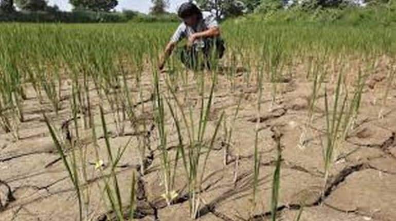 PM kisan Samman Nidhi: किसानों के लिए जरूरी है यह काम, डॉक्यूमेंट्स जमा करने पर मिलेंगे 4000 रुपये