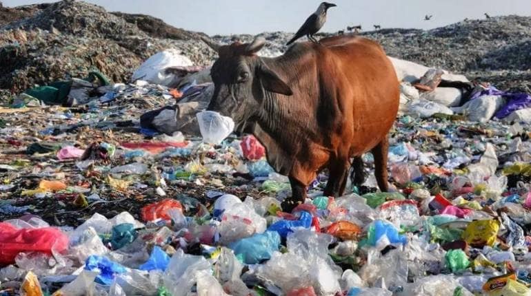 कोरोना वायरस महामारी से फैला 80 लाख टन प्लास्टिक कचरा – रिपोर्ट