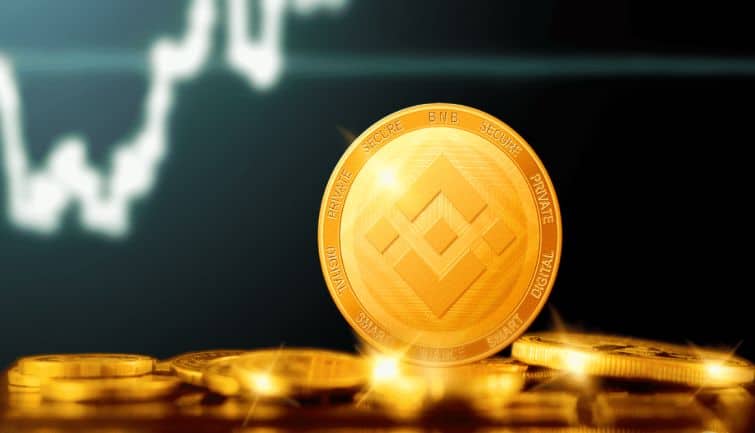 Binance Coin BNB : इस क्रिप्टोकरंसी ने 2021 में दिया 1,300% रिटर्न, बिटकॉइन और ईथर को छोड़ा पीछे