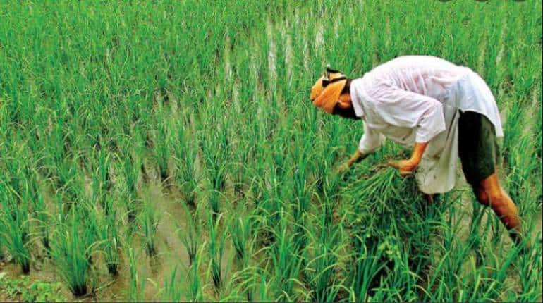 PM Kisan: हफ्ते भर बाद आने वाली है किश्त, क्या आपके स्टेटस पर Rft Signed By State लिखा दिखाई दिया? PM Kisan: हफ्ते भर बाद आने वाली है किश्त, क्या आपके स्टेटस पर Rft Signed By State लिखा दिखाई दिया?