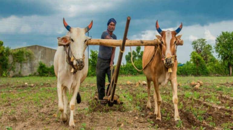PM Kisan: अब घर बैठे आधार के जरिए eKYC नहीं करा पाएंगे किसान, 11वीं किस्त पाने के लिए करना होगा ये काम PM Kisan: अब घर बैठे आधार के जरिए eKYC नहीं करा पाएंगे किसान, 11वीं किस्त पाने के लिए करना होगा ये काम