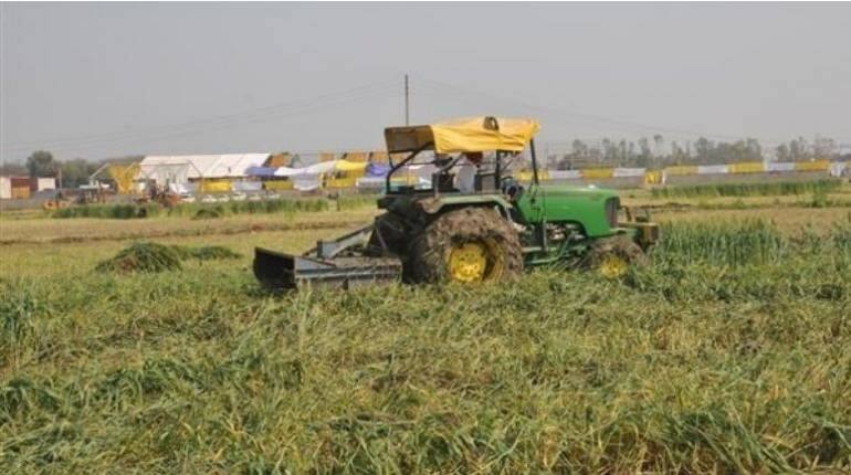 Punjab: भगवंत मान के शपथ ग्रहण कार्यक्रम के लिए काटे गए 40 एकड़ में फैले गेहूं के खेत
