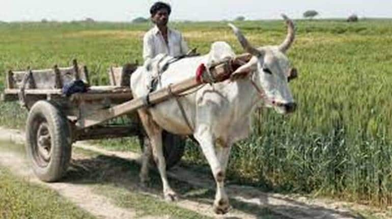 PM Kisan Samman Nidhi: इन लोगों के अकाउंट में नहीं आएंगे 11वीं किश्त के 2,000 रुपये, जानिए क्यों PM Kisan Samman Nidhi: इन लोगों के अकाउंट में नहीं आएंगे 11वीं किश्त के 2,000 रुपये, जानिए क्यों
