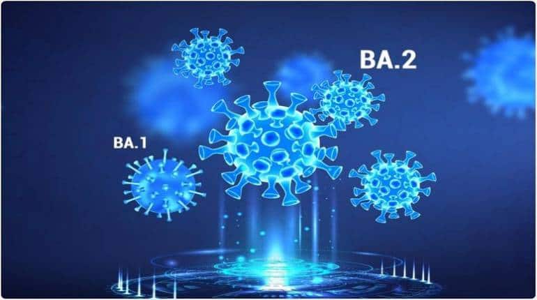 Omicron BA.2: जर्मनी में अब भी कहर बरपा रहा ओमीक्रोन का नया वेरिएंट, स्वास्थ्य मंत्री ने बताया स्थिति 'गंभीर' Omicron BA.2: जर्मनी में अब भी कहर बरपा रहा ओमीक्रोन का नया वेरिएंट, स्वास्थ्य मंत्री ने बताया स्थिति 'गंभीर'