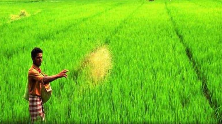 PM Kisan: इस डॉक्यूमेंट के बिना नहीं मिलेगी 2000 रुपये कि किश्त, मोदी सरकार ने किया नियमों में बदलाव PM Kisan: इस डॉक्यूमेंट के बिना नहीं मिलेगी 2000 रुपये कि किश्त, मोदी सरकार ने किया नियमों में बदलाव