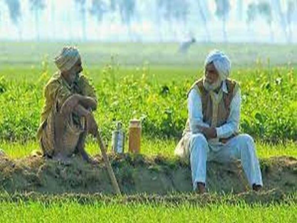 NABARD ने हरियाणा के किसानों को दिया 19,718 करोड़ रुपये का फंड, चेक करें  डिटेल्स - Haryana Farmers to Get Rs 19718 Crore from NABARD check details |  Moneycontrol Hindi