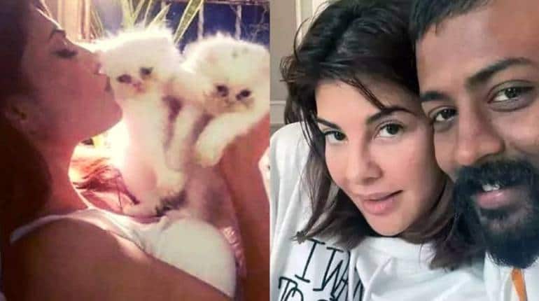 Jacqueline Fernandez: 9 लाख की पर्शियन कैट, 52 लाख का अरबी घोड़ा, जैकलीन को सुकेश चंद्रशेखर से मिले ये कीमती गिफ्ट