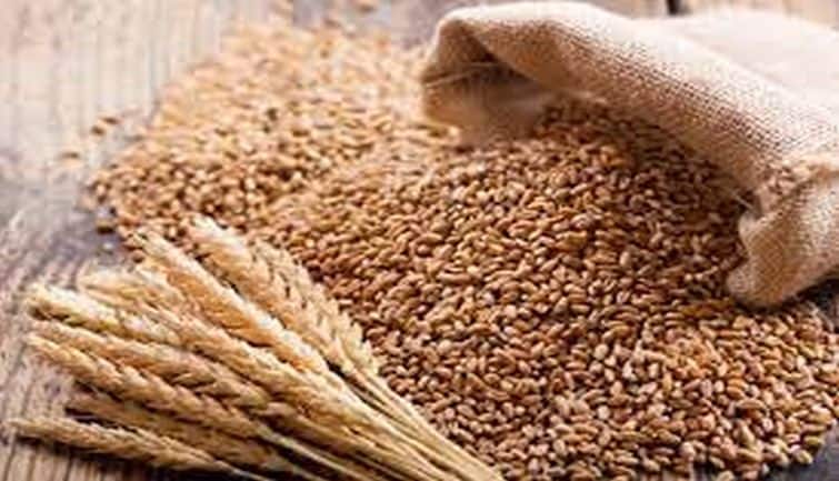 Agri Commodity: इस साल OMSS 2.5 मिलियन टन गेहूं की करेगा बिक्री, जानिए ग्वार गम में आया दबाव किस ओर कर रहा इशारा