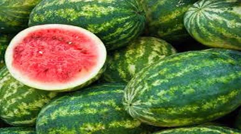 How to Wash Watermelon https: गर्मी में तरबूज खाते हैं? पहले जान लें इसे साफ करने का सही तरीका