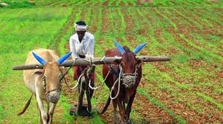PM Kisan: किसानों के लिए खुशखबरी, eKYC की डेडलाइन 31 जुलाई तक बढ़ी, जानिए क्या है पूरा प्रॉसेस?
