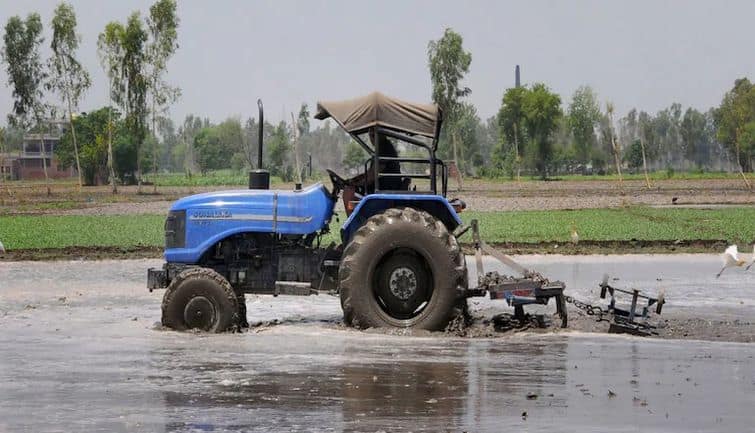 Commodity market : 2024-25 के लिए खरीफ फसलों की MSP में 5-10 % की बढ़त मुमकिन : सूत्र