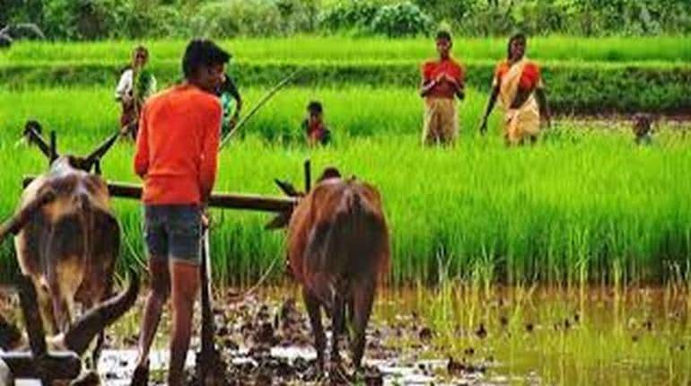 PM Kisan Samman Nidhi: इन किसानों को वापस करने पड़ेंगे पीएम किसान योजना के पैसे, फटाफट चेक करें लिस्ट में अपना नाम PM Kisan Samman Nidhi: इन किसानों को वापस करने पड़ेंगे पीएम किसान योजना के पैसे, फटाफट चेक करें लिस्ट में अपना नाम