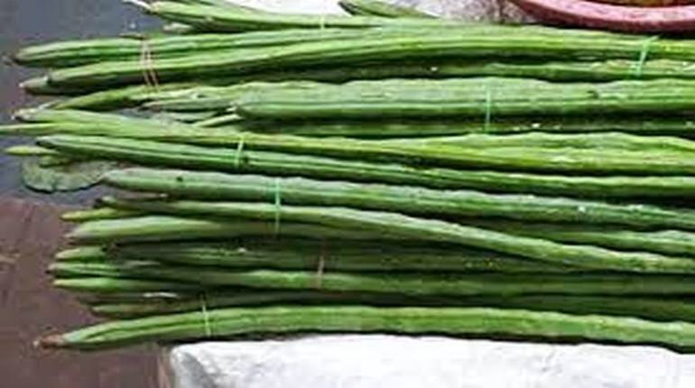 Business Idea: सहजन की खेती से किसान हो जाएंगे मालामाल, सिर्फ एक बार लगाएं पैसे, 10 साल तक होगी बंपर कमाई Business Idea: सहजन की खेती से किसान हो जाएंगे मालामाल, सिर्फ एक बार लगाएं पैसे, 10 साल तक होगी बंपर कमाई