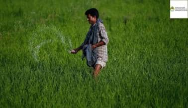 deepak fertilizer