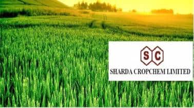 sharda crop