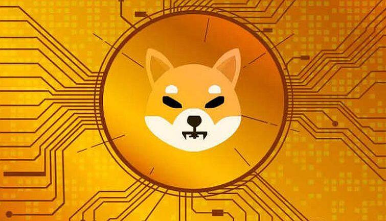 क्रिप्टो बाजार की गिरावट से बेपरवाह Shiba Inu,एक साल में दिया 30% का रिटर्न