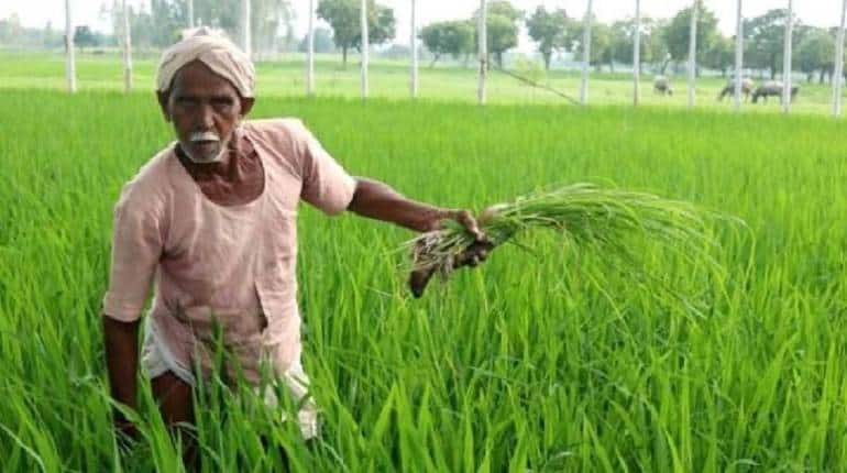 PM kisan Samman Nidhi Yojana: e-KYC की लास्ट डेट खत्म, जानिए करोड़ों किसानों को कब मिलेगी खुशखबरी PM kisan Samman Nidhi Yojana: e-KYC की लास्ट डेट खत्म, जानिए करोड़ों किसानों को कब मिलेगी खुशखबरी