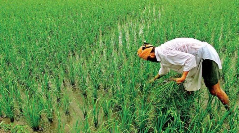 PM Kisan Samman Nidhi: इन किसानों को 12वीं किश्त में 2000 की जगह मिलेंगे 4,000 रुपये, जानिए कैसे PM Kisan Samman Nidhi: इन किसानों को 12वीं किश्त में 2000 की जगह मिलेंगे 4,000 रुपये, जानिए कैसे