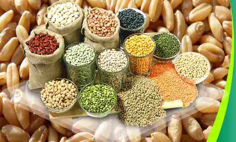 Agri commodity : 7 एग्री वायदा पर लगे बैन कि मियाद 20 दिसंबर को होगी पूरी, क्या हटेगा बैन! Agri commodity : 7 एग्री वायदा पर लगे बैन कि मियाद 20 दिसंबर को होगी पूरी, क्या हटेगा बैन!