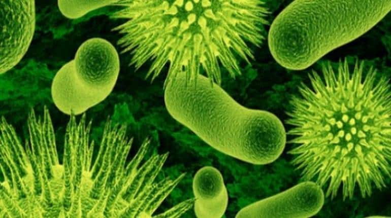 Superbug: कोरोना के बाद अब सुपरबग मचा रहा है तबाही, साल भर में करोड़ों ...