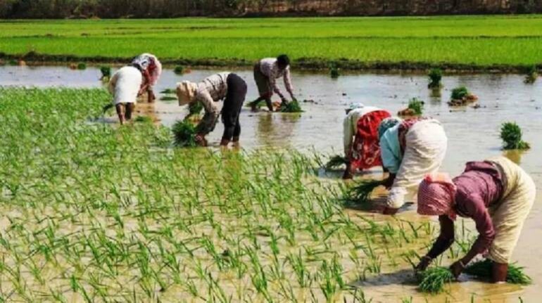 पीएम किसान सम्मान निधि: इन किसानों को 30 नवंबर तक मिलेंगे 2000 रुपये, जानिए कैसे चुनें