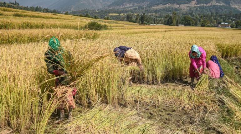 PM Kisan Samman Nidhi: इन किसानों को मिलेंगे 12वीं किश्त के 2000 रुपये, फटाफट चेक करें अपना नाम PM Kisan Samman Nidhi: इन किसानों को मिलेंगे 12वीं किश्त के 2000 रुपये, फटाफट चेक करें अपना नाम