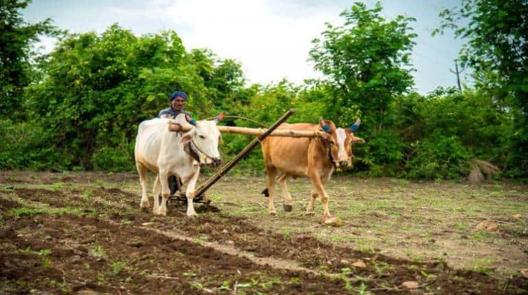 PM Kisan Samman Nidhi: इन किसानों के अकाउंट में नहीं आएंगे 13वीं किश्त के 2000 रुपये, जानिए वजह